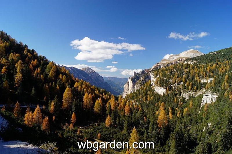 wbgarden alps 105.JPG